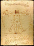 Leonardo Da Vinci (Vitruvian Man) Art Poster Print Masterprint