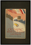 Lake Placid (Olympic Bobsled Run) Art Poster Print Photo