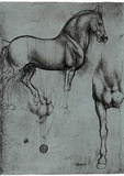 Leonardo da Vinci (Horse trials) Art Poster Print Masterprint