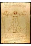 Leonardo Da Vinci (Vitruvian Man) Art Poster Print Prints