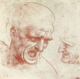 Leonardo da Vinci (Two heads) Art Poster Print Masterprint
