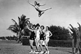 Daredevils Archival Photo Poster Print Masterprint