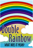 Double Rainbow What Does It Mean Art Print Poster Prints