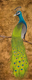 Peacocks I Prints by Josefina 