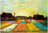 Vincent Van Gogh Holland Flower Bed Art Print Poster Print
