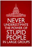 Never Underestimate Stupid People in Large Groups Poster Poster