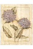 Purple Hydrangeas Art Print Poster Prints