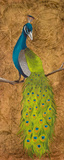 Peacocks II Posters by Josefina 