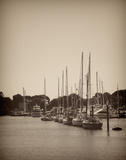 At the Marina II Posters by Jairo Rodriguez