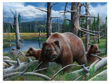 Observation Reproduction procédé giclée par Kevin Daniel