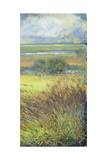 Shimmering Marsh II Reproduction procédé giclée par H. Thomas