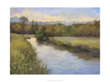 Camp Springs Farm Giclee Print by Mary Jean Weber