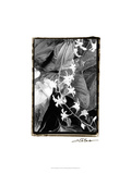 Floral Elegance I Giclee Print by Laura Denardo