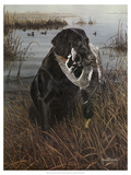 A Friend in the Marsh Giclee Print by Kevin Daniel