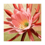 Desert Bloom I Giclee Print by Jason Higby