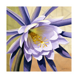 Desert Bloom II Giclee Print by Jason Higby