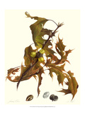 Oak Tree Giclee Print by James Linton Sain