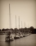 At the Marina I Art by Jairo Rodriguez