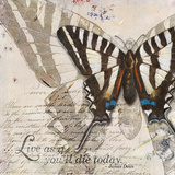 Living your Dreams II Poster von Patricia Pinto