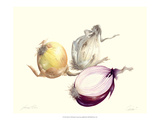 Onion Giclee Print by James Linton Sain
