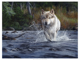 The Crossing Giclee Print by Kevin Daniel