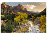 Brilliant View II Giclee Print by Colby Chester