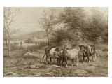 Grazing Cattle Giclee Print by George Riecke