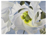 Lisianthus Giclee Print by Bethany Winslow