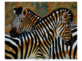 Zebras Giclee Print by Robert Tate