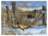 Corner Post Reproduction procédé giclée par Kevin Daniel