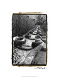 Italian Garden IV Giclee Print by Laura Denardo