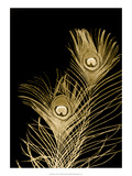 Plumes d'Or II Giclee Print by Jason Johnson