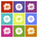 Vivid Bouquet Stretched Canvas Print by Jason Johnson