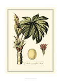 Crackled Paradise Foliage III Giclee Print