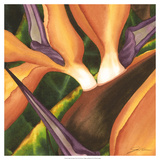 Bird of Paradise Tile II Giclee Print by Jason Higby