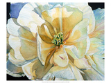 Summer's Tulip Giclee Print by Hanna Lore Koehler