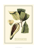 Crackled Paradise Foliage I Giclee Print