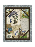 Bird Watching II Reproduction procédé giclée par Kate Ward Thacker