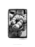 Farmer's Market IV Giclee Print by Laura Denardo