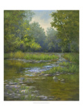 O'Bannon Creek Giclee Print by Mary Jean Weber