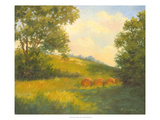 Golden Day Giclee Print by Mary Jean Weber