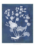Nature's Imprint I Giclee Print by Vision Studio 