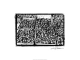 Farmer's Market VI Giclee Print by Laura Denardo