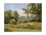 Grailville View Giclee Print by Mary Jean Weber