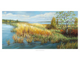 Marsh Edge Reproduction procédé giclée par A.A. Pfannmuller