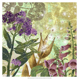 Foxglove Meadow II Giclee Print by R. Collier-Morales