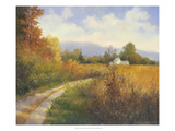 Autumn Country Road Giclee Print by Mary Jean Weber