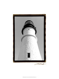 Standing Tall Giclee Print by Laura Denardo