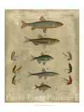Pisces Composition I Giclee Print