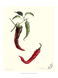 Peppers Giclee Print by James Linton Sain